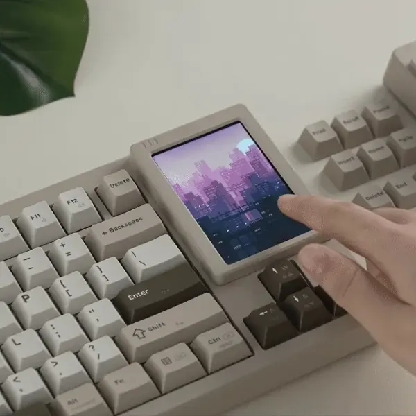 Womier DUO 87 è su Kickstarter