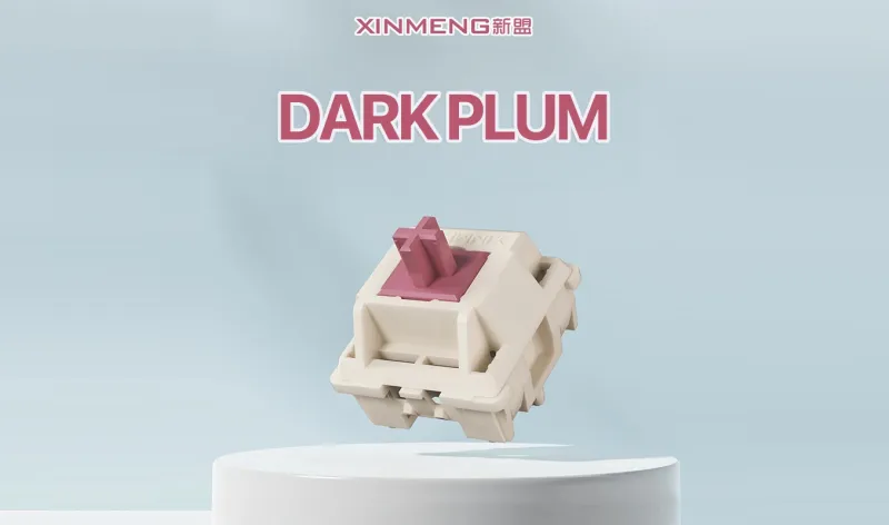 Recensione switch Xinmeng Dark Plum